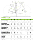 Cannondale Synapse Disc Tiagra Road Bike 2019 - media_656d66f8-0de7-48d6-838b-46d59f2903a7