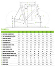 Cannondale CAAD12 105 Road Bike 2019 - media_e23d41df-3a68-4089-82b7-e5b63c1c5da9